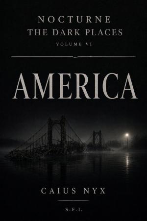 The Dark Places — America — cover